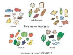 foods to transform your health naturally