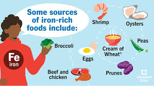 Iron rich foods including shrimp, broccoli, eggs, beef, chicken and prunes for iron deficiency anemia diet