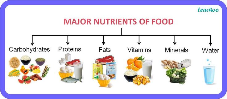 Major nutrients of food - infographic showing different food groups and their nutrients