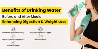 Benefits of drinking water before and after meals for digestion and weight loss